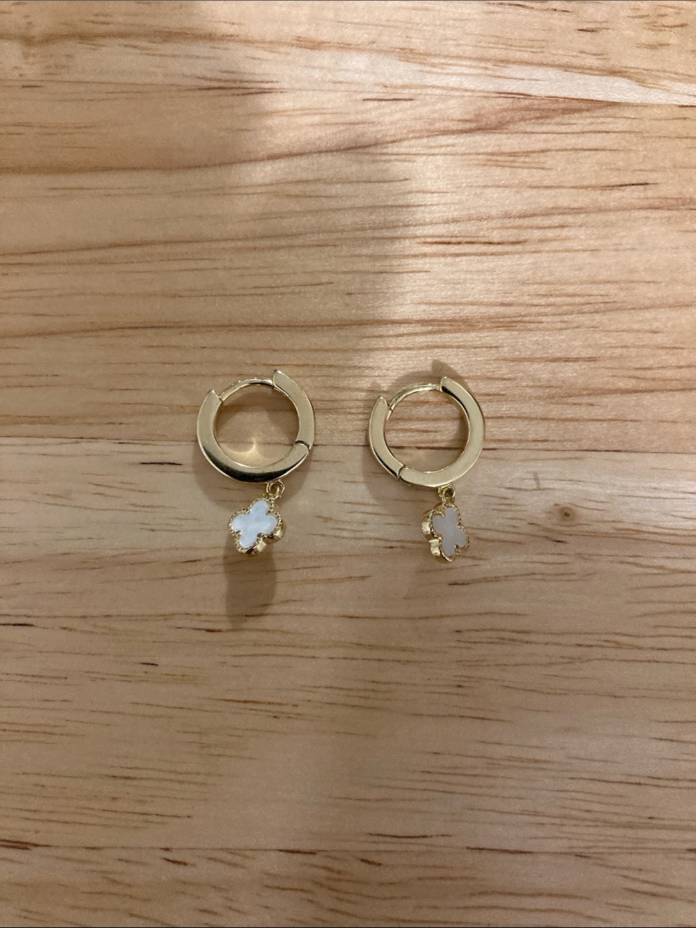 Earrings-NWOT